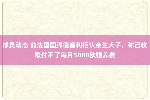 球员动态 前法国国脚德塞利拒认亲生犬子，称已收歇付不了每月5000欧赡养费