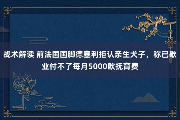 战术解读 前法国国脚德塞利拒认亲生犬子，称已歇业付不了每月5000欧抚育费