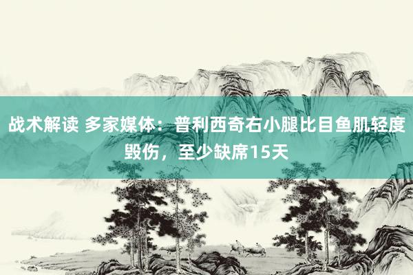 战术解读 多家媒体：普利西奇右小腿比目鱼肌轻度毁伤，至少缺席15天