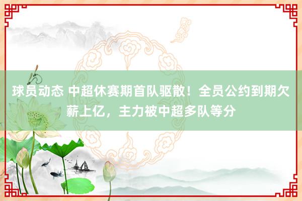 球员动态 中超休赛期首队驱散！全员公约到期欠薪上亿，主力被中超多队等分