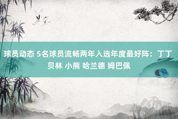 球员动态 5名球员流畅两年入选年度最好阵：丁丁 贝林 小熊 哈兰德 姆巴佩